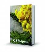 119 имитация книжки